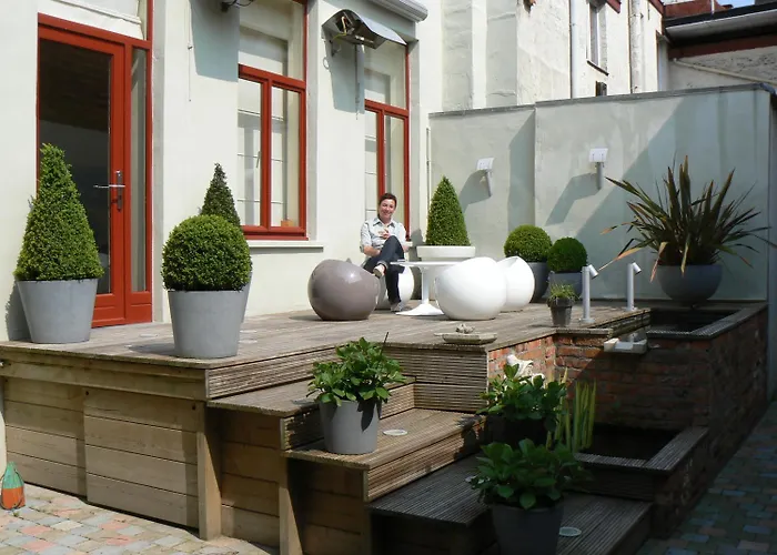 B&B Asinello